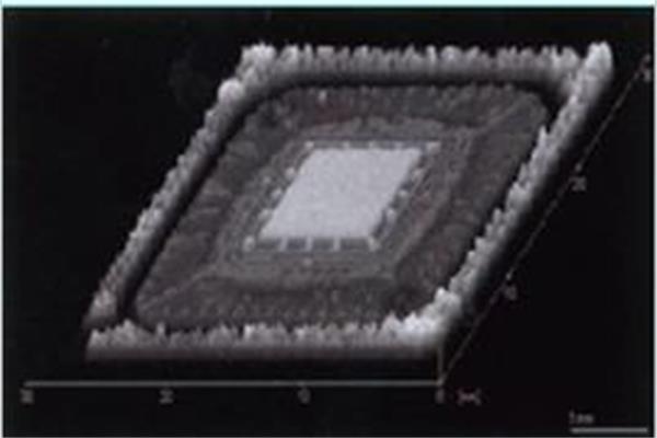 C-SAM是什么？它又有什么實際應(yīng)用？